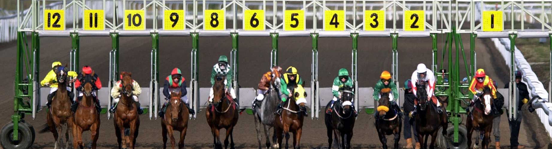 How to bet on horse racing a beginner’s guide